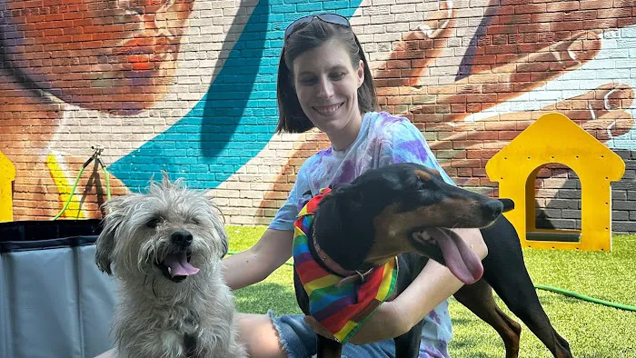 The Bark Park by District Dogs 1