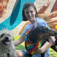 The Bark Park by District Dogs ico