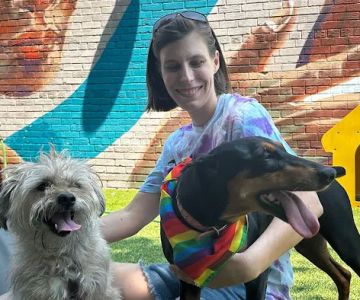 The Bark Park by District Dogs