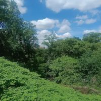 Walter Pierce Dog Park ico