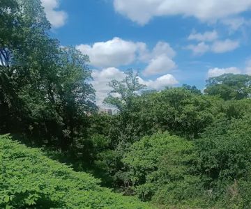 Walter Pierce Dog Park