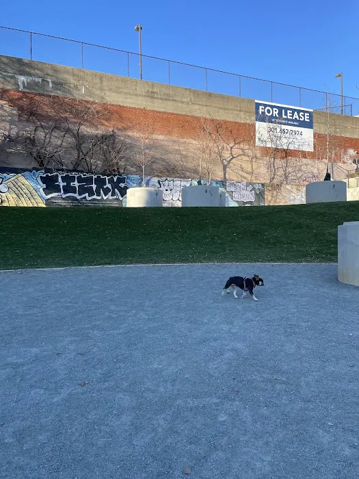 Bryant Street Dog Park 2