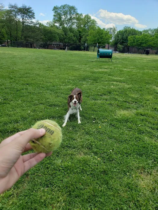 New Carrollton Dog Park 3