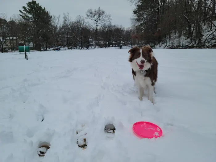 New Carrollton Dog Park 2