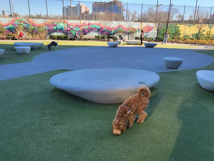 Eckington Dog Park 10