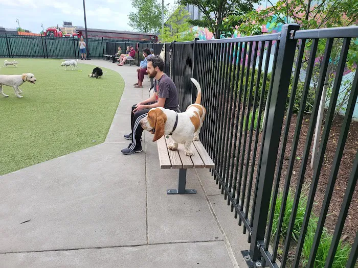 Eckington Dog Park 5