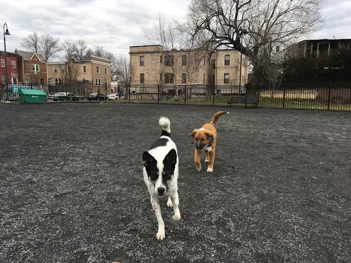 LeDroit Dog Park 4