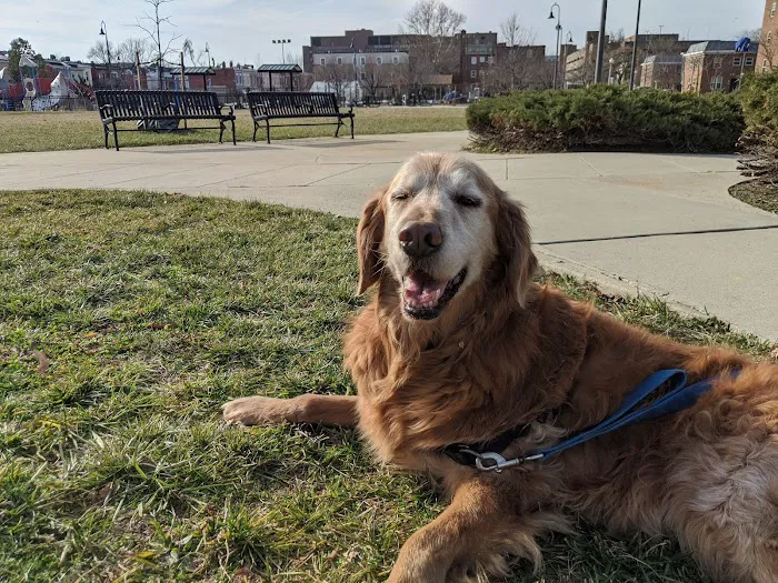 LeDroit Dog Park 6