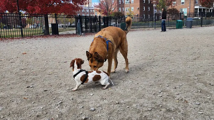 LeDroit Dog Park 2