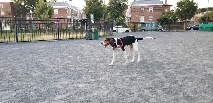 LeDroit Dog Park 9