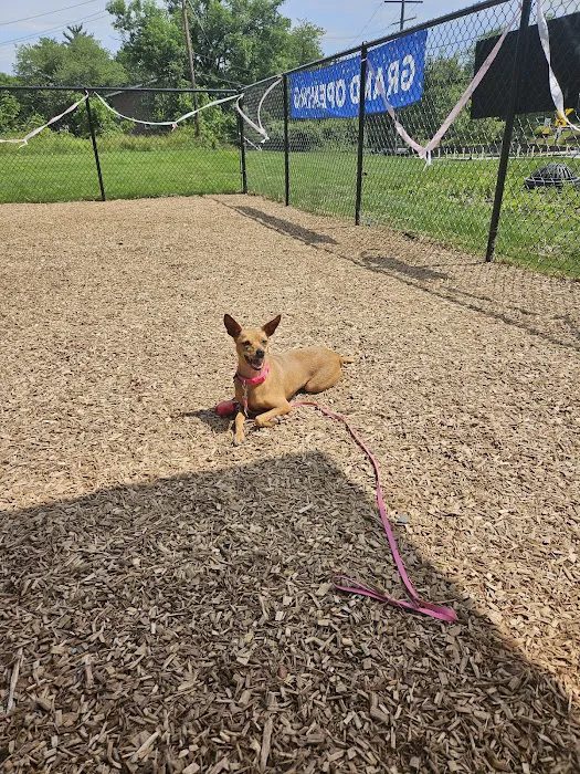 Texas Ave Dog Park 5