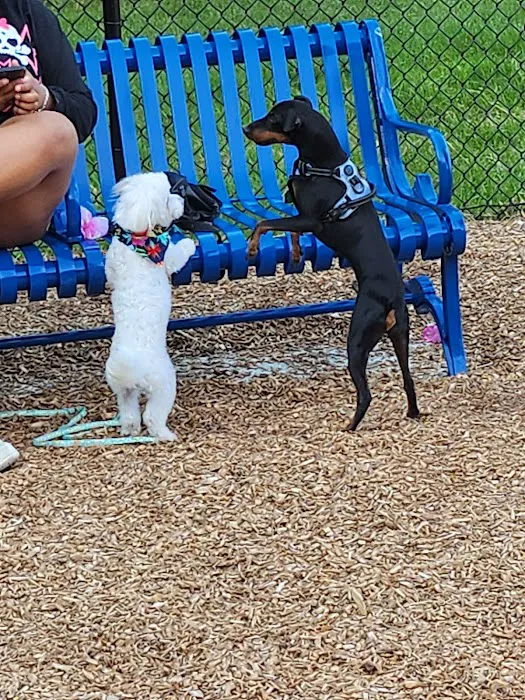 Texas Ave Dog Park 4