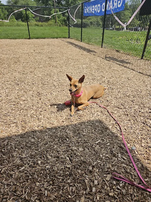 Texas Ave Dog Park 7