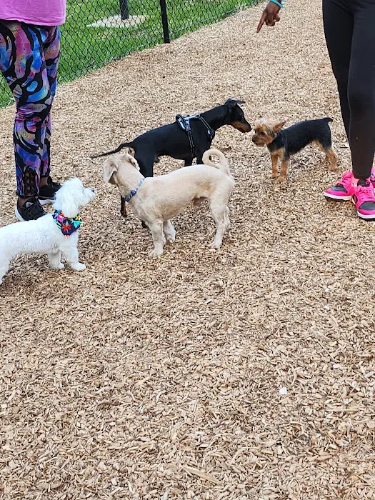 Texas Ave Dog Park 9