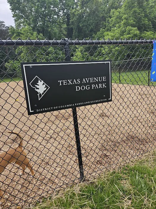 Texas Ave Dog Park 10