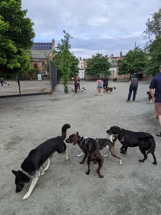 Kingsman Field Dog Park 2
