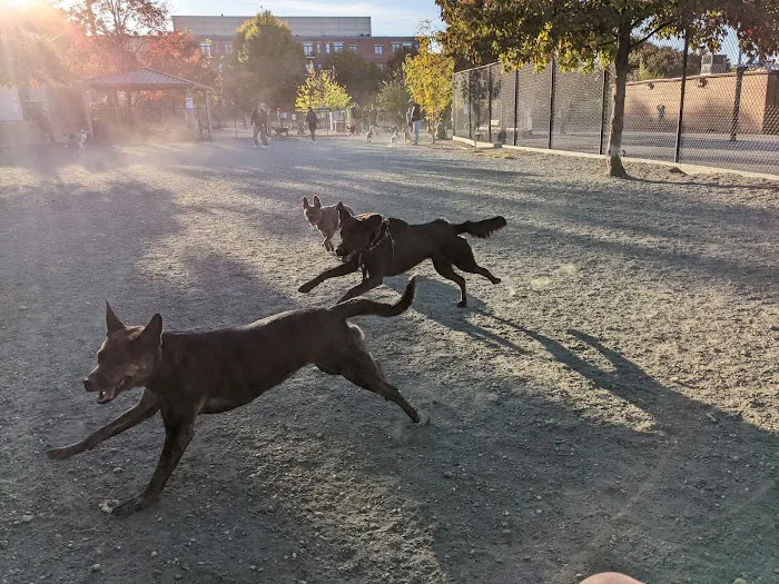 Kingsman Field Dog Park 3