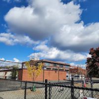 Kingsman Field Dog Park ico