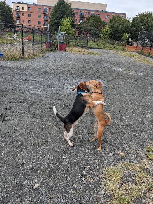 Kingsman Field Dog Park 10