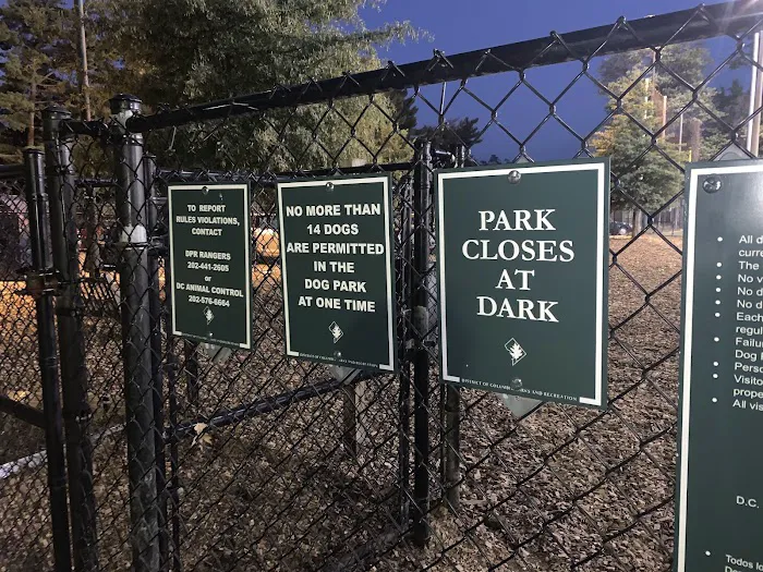 Guy Mason Recreation Center Dog Park 7