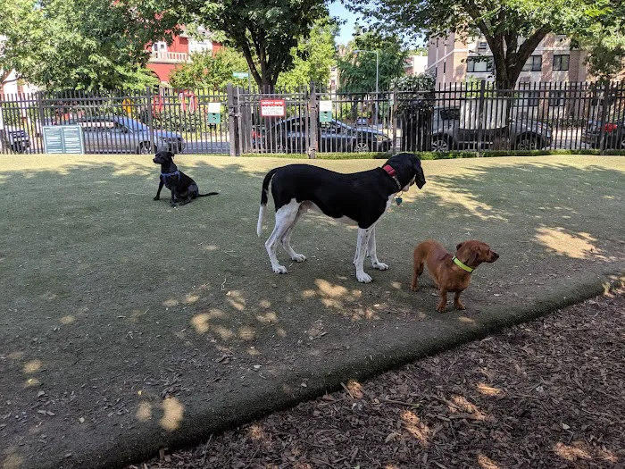 S Street Park 3