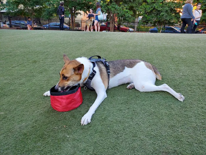 S Street Park 8