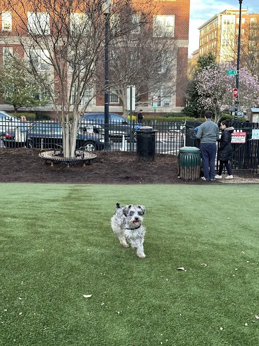 S Street Park 4