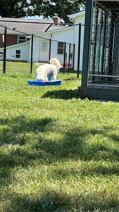 Sniff Spot Peaceful Acre Private Dog Park 2