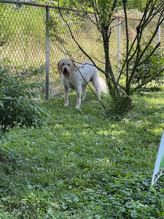 Sniff Spot Peaceful Acre Private Dog Park 3