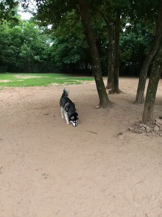 Chandon Dog Park 1