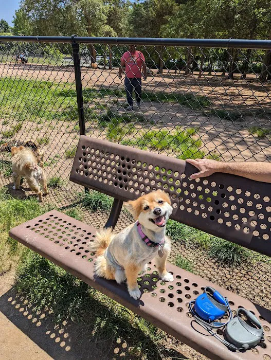Chandon Dog Park 9