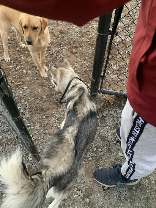 Chandon Dog Park 7