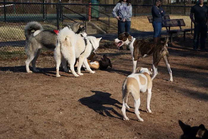 Chandon Dog Park 4