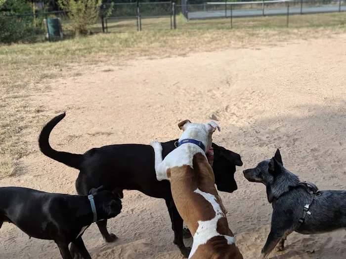 Chandon Dog Park 6