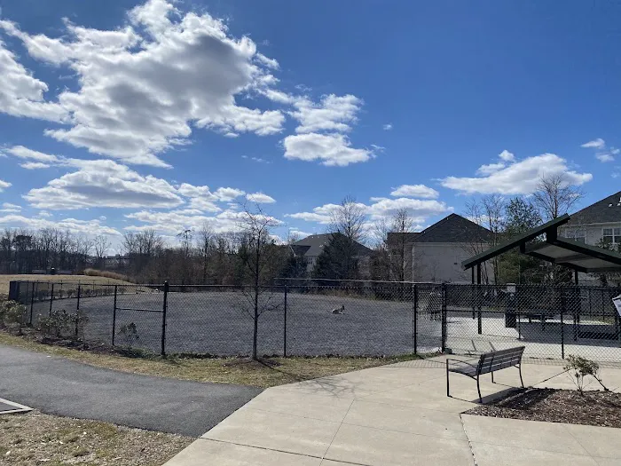 Dog Park 3