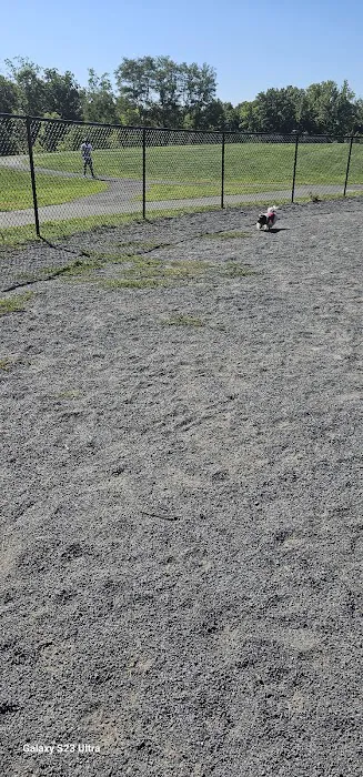 Dog Park 1