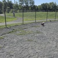 Dog Park ico