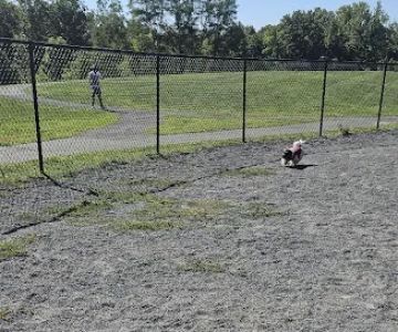 Dog Park