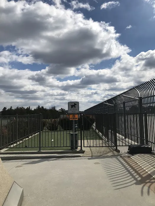 Pet Relief Area 2