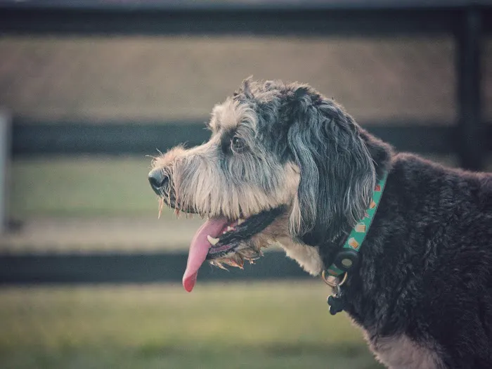 Creighton West Park Dog Park - Brambleton HOA 1