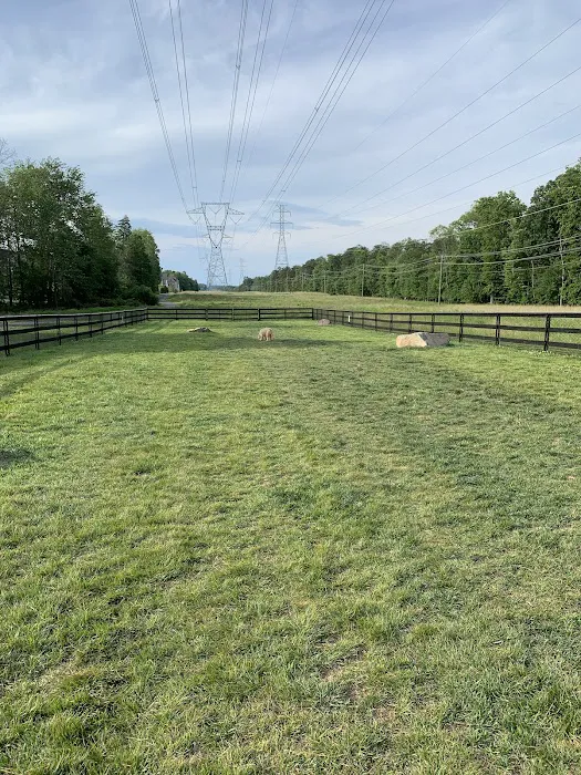 Creighton West Park Dog Park - Brambleton HOA 10