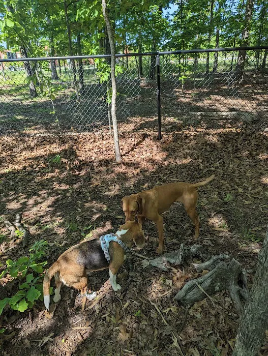 Hal & Berni Hanson Park Wooded Dog Park Off-Leash Area 5