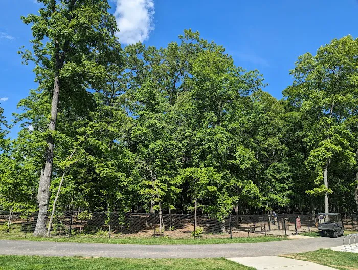 Hal & Berni Hanson Park Wooded Dog Park Off-Leash Area 2