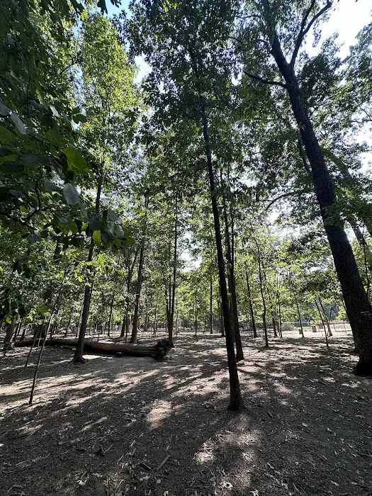 Hal & Berni Hanson Park Wooded Dog Park Off-Leash Area 10