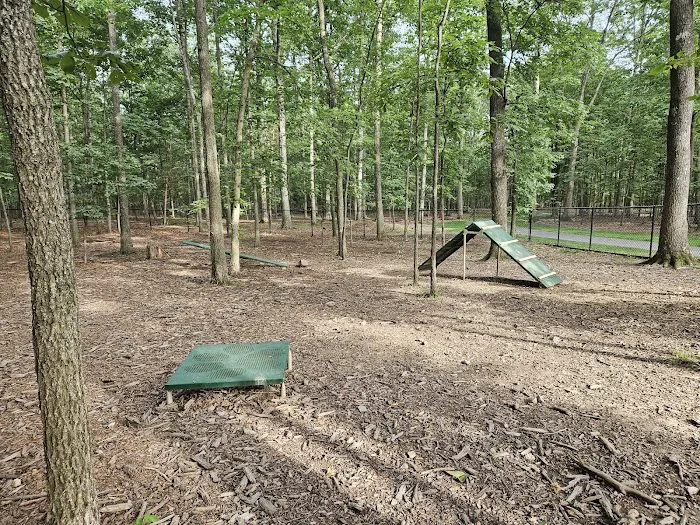 Hal & Berni Hanson Park Wooded Dog Park Off-Leash Area 7