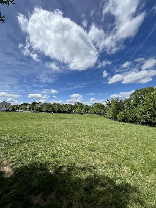 Willowsford Dog Park 4