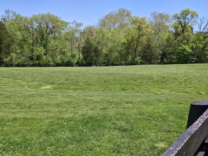 Willowsford Dog Park 6
