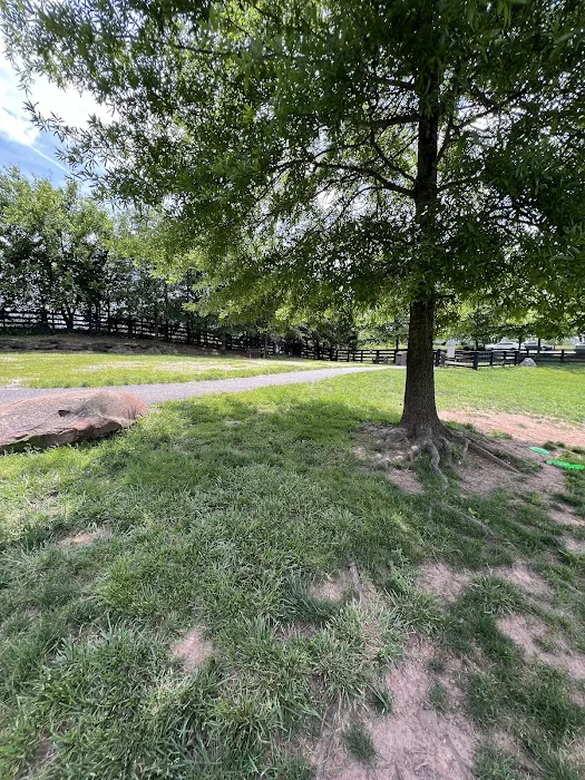 Willowsford Dog Park 8