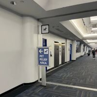 Pet Relief Area ico