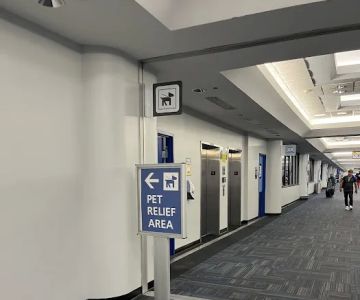 Pet Relief Area